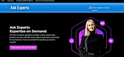 Ask Experts AI