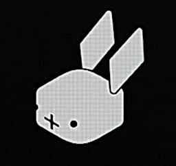 r1 by rabbit