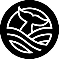 main_image_Sibyl AI
